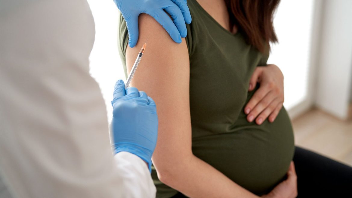 <a href="https://news.harvard.edu/gazette/section/health/">
			Health		</a>
		
		
		Study pinpoints optimal timing for RSV vaccine during pregnancy	
			
			Five weeks before giving birth best transfers maternal antibodies to the fetus, say researchers		
	
	
	
		
			
					
		MGB Communications	
				
		
		
			November 12, 2024		
		
			4 min read		
	
			
		
	
To better protect newborns from respiratory syncytial virus (RSV), the leading cause of hospitalization in U.S. infants, pregnant women should receive a vaccine five weeks before delivery, according to new research led by investigators at Mass General Brigham.
RSV typically causes mild, cold-like symptoms in most adults but can be deadly for infants. While current guidelines recommend a vaccine during weeks 32–36 of pregnancy, new findings suggest that vaccination closer to 32 weeks could provide the best protection. <a href="https://www.sciencedirect.com/science/article/pii/S0002937824011256?via%3Dihub">Results of the study</a> are published in the American Journal of Obstetrics & Gynecology.
To assess whether maternal vaccine timing is an important consideration for RSV vaccination, the investigators measured RSV antibodies in the umbilical cord at the time of delivery among 124 women who received the RSV vaccine during weeks 32–36 of pregnancy and in the blood of 29 2-month-old infants of these mothers.
All study participants were receiving care at MGH or Mount Sinai Health System in New York City. Levels of RSV antibodies can predict protection against RSV infection in infants too young to yet receive their own vaccines.
The investigators found that maternal RSV vaccination at least five weeks before delivery led to the most efficient transfer of maternal antibodies across the placenta to the newborn, compared with maternal vaccination at two to three or three to four weeks prior to delivery.
In an additional analysis, RSV antibody levels in maternal and cord blood after RSV vaccination were compared with RSV antibody levels in 20 unvaccinated mothers. Maternal RSV vaccination resulted in significantly higher and longer-lasting maternal and cord RSV antibody levels.
“Our findings suggest that being vaccinated earlier within the approved timeframe allows for the most efficient placental transfer of antibody to the newborn,” said senior author <a href="https://www.massgeneral.org/obgyn/vcrb/research/edlow-lab">Andrea Edlow</a>, a maternal-fetal medicine specialist in the Department of Obstetrics and Gynecology at <a href="http://massgeneral.org/">Massachusetts General Hospital</a>. “They also may have implications for when the RSV monoclonal antibody, Nirsevimab, should be administered to newborns. Similar research should be conducted for other vaccines administered during pregnancy.
“This work provides much-needed data to guide physicians in counseling patients about RSV vaccine timing during pregnancy,” Edlow added.
The investigators noted that additional studies are needed to determine the minimum amount of antibody transfer and/or infant blood antibody levels to adequately protect infants against RSV. It will also be important to understand the potential additive protection for infants provided by breastmilk from RSV-vaccinated mothers. This study was designed to measure antibody transfer, but larger studies of infants 2 to 6 months of age will be needed to determine the extent to which this leads to enhanced protection.
<strong>Disclosures: </strong>Outside of this work, Edlow serves as a consultant for Mirvie, Inc. and is a consultant for and has received research funding from Merck Pharmaceuticals. Additional disclosures can be found in the paper.
<strong>Authorship: </strong>In addition to Edlow, Mass General Brigham authors include Olyvia J. Jasset, Paola Andrea Lopez Zapana, Lydia Shook, Emily Gilbert, Zhaojing Ariel Liu, Rachel V. Yinger, Caroline Bald, Caroline G. Bradford, Alexa H. Silfen, and Lael M. Yonker.
<em>This work was funded by National Institute of Allergy and Infectious Disease (1U19AI167899, R01AI171980), the National Institute of Child Health and Human Development (5K12HD103096 to L.L.S; NIH/NHLBI: R01HL173059 to L.Y.; MGH ECOR: MGH Research Scholar Award to A.G.E., Claflin Award to L.L.S.; Binational Science Foundation Award number 2019075 to L.K.) None of the funders had any role in the design of the study; in the collection, analysis, and interpretation of data; in the writing of the report; or in the decision to submit the article for publication.</em>